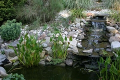 brook_1