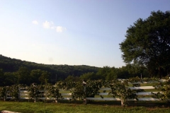 landscape_b