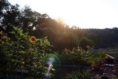 landscape_c