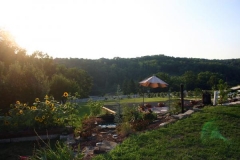 landscape_d
