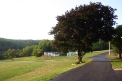 landscape_f