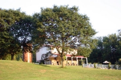 landscape_g