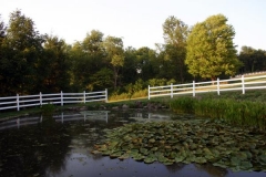 pond